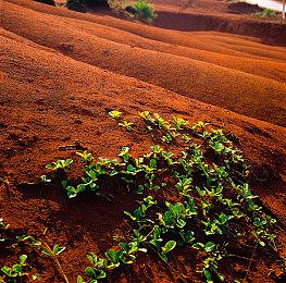 《超级动物大逃杀》第九赛季启动 游戏宣传片欣赏